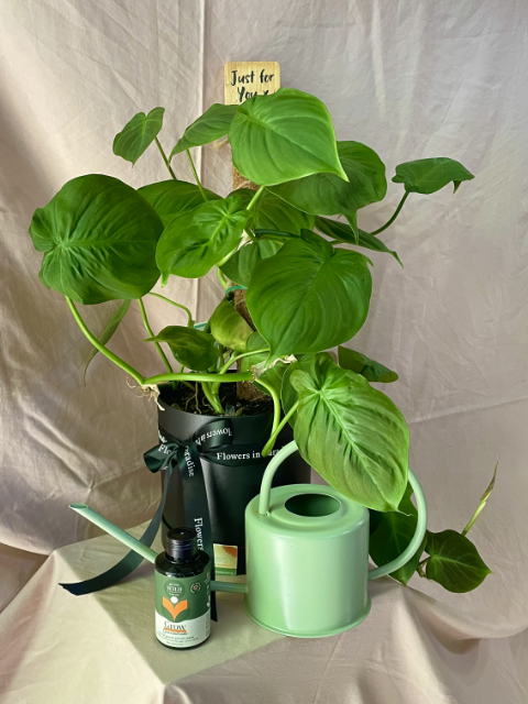 The Plant Lovers Bundle