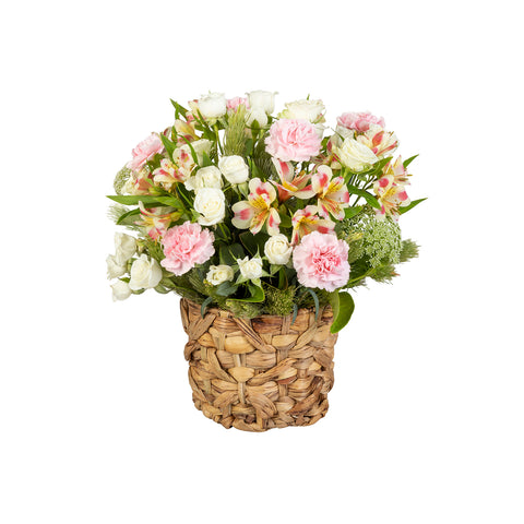 Delicate Carnations