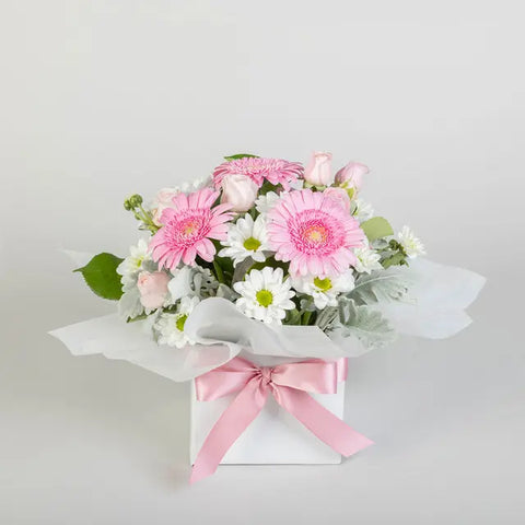 Sweet Gerberas