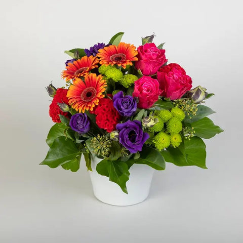 Viva Flowers
