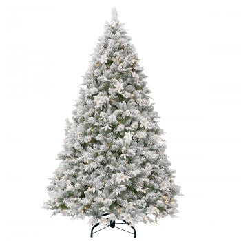 6ft(183cm) Frosted Colonial Christmas Tree with Lights (NATFC107)