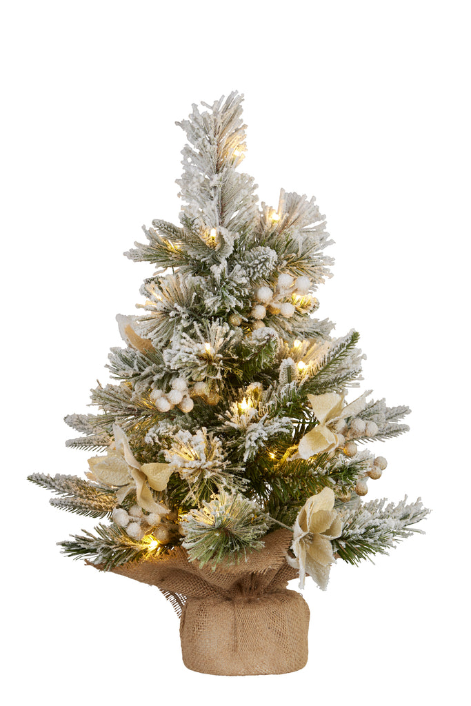2ft(61cm) Frosted Colonial Colonial Table Top Christmas Tree with Lights (NATFC2)