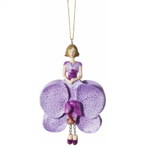 Phalaenopsis  Orchid Flower Maiden