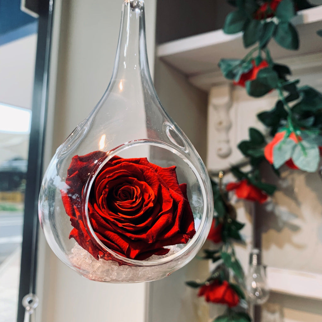 Everlasting Rose